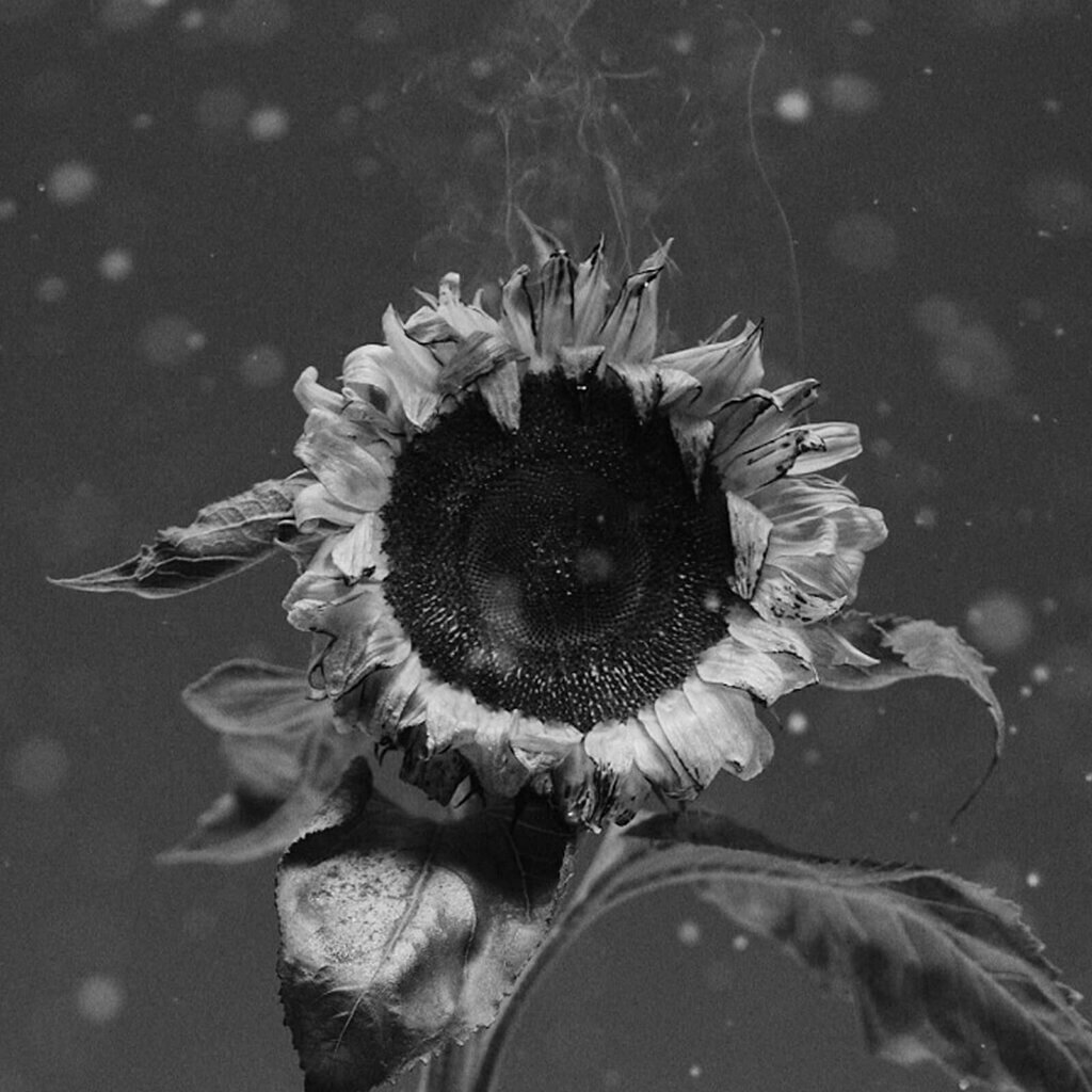 ralph kaminski ostatni dzień lata cover