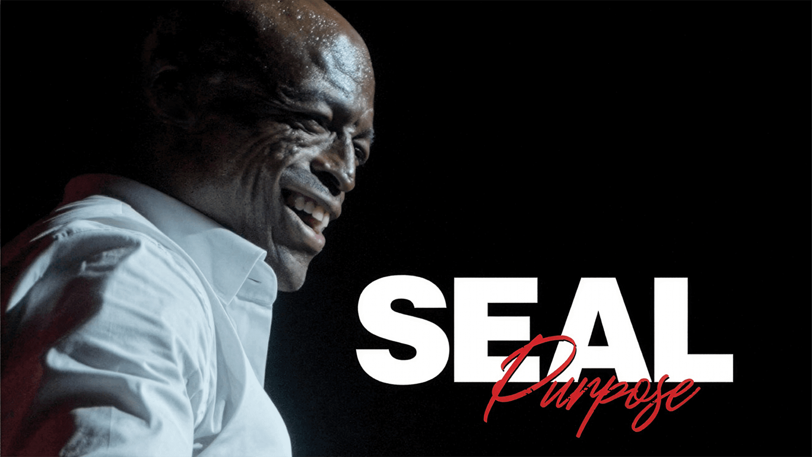 seal prps 4k+bd mini 3c firefly upscaler 2x scale