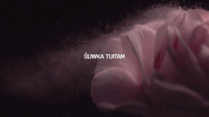 zrzut ekranu 2026 02 16 o 01.53.24