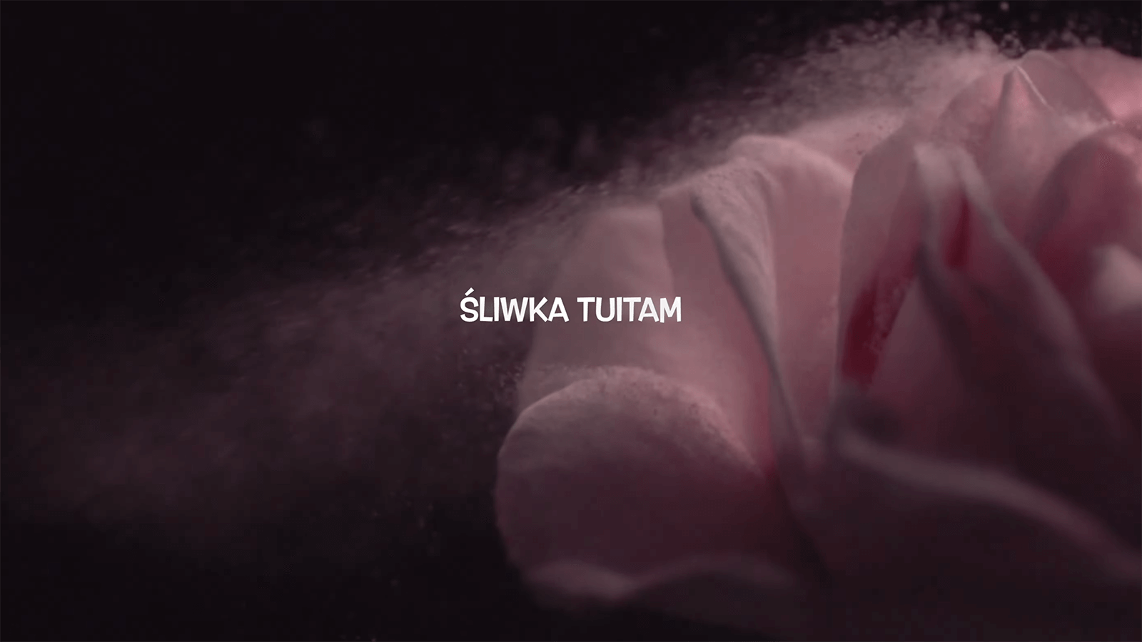 zrzut ekranu 2026 02 16 o 01.53.24