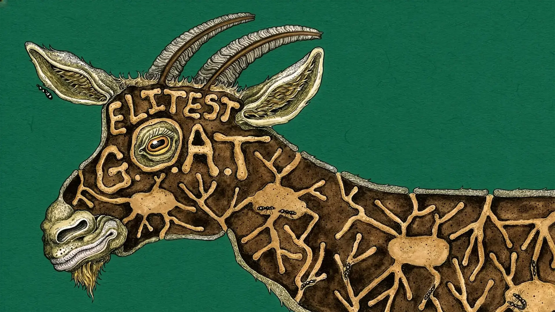 xrmeeqsxjqe hd firefly upscaler 2x scale